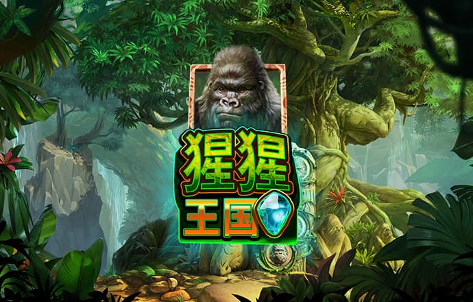 澳门跑狗图网站